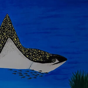 Mantarraya Águila